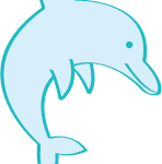 dolphin