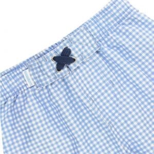 boys-blue-gingham-swim-trunks